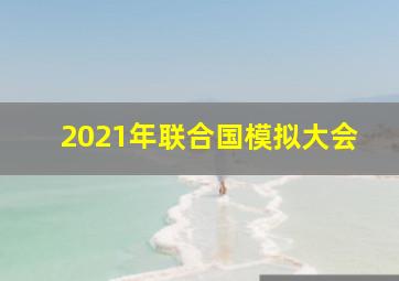 2021年联合国模拟大会