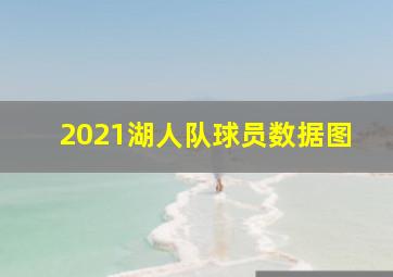 2021湖人队球员数据图