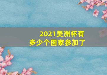 2021美洲杯有多少个国家参加了