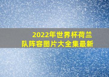 2022年世界杯荷兰队阵容图片大全集最新