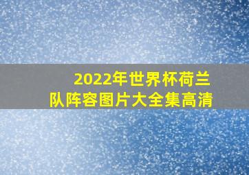 2022年世界杯荷兰队阵容图片大全集高清