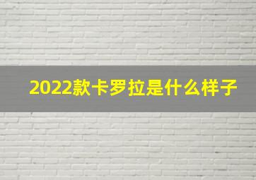 2022款卡罗拉是什么样子