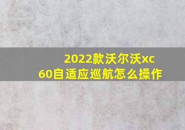 2022款沃尔沃xc60自适应巡航怎么操作