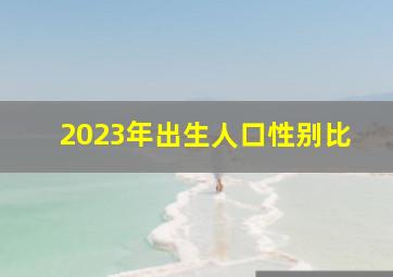 2023年出生人口性别比