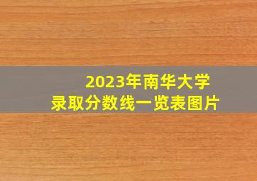 2023年南华大学录取分数线一览表图片