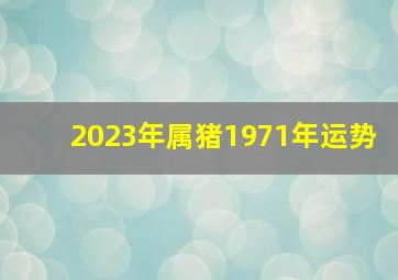 2023年属猪1971年运势