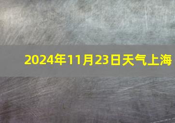 2024年11月23日天气上海