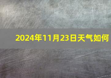 2024年11月23日天气如何