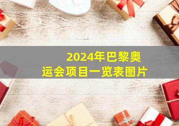 2024年巴黎奥运会项目一览表图片