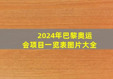 2024年巴黎奥运会项目一览表图片大全