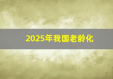 2025年我国老龄化