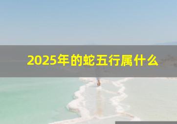 2025年的蛇五行属什么