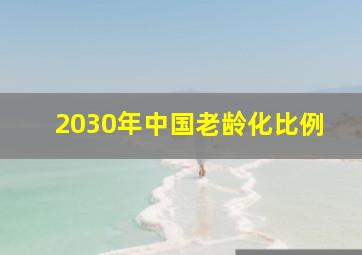 2030年中国老龄化比例