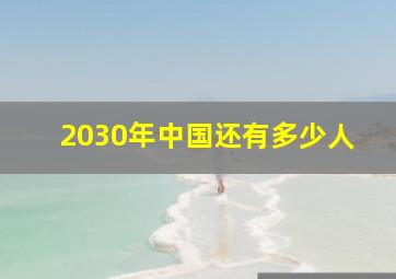 2030年中国还有多少人