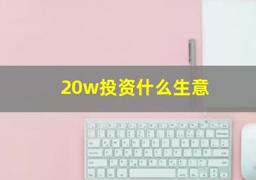 20w投资什么生意