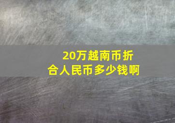 20万越南币折合人民币多少钱啊