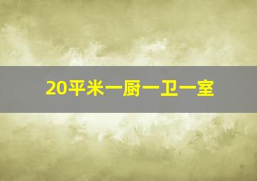 20平米一厨一卫一室