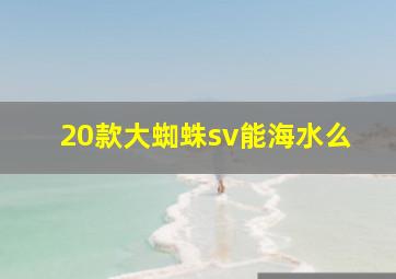 20款大蜘蛛sv能海水么