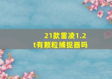 21款雷凌1.2t有颗粒捕捉器吗