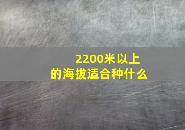 2200米以上的海拔适合种什么