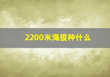 2200米海拔种什么