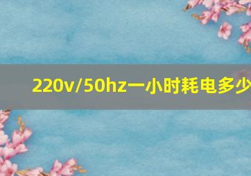 220v/50hz一小时耗电多少