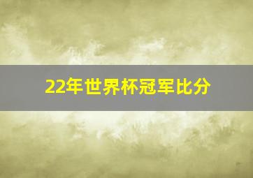 22年世界杯冠军比分