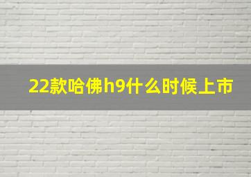 22款哈佛h9什么时候上市