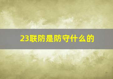 23联防是防守什么的