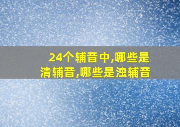 24个辅音中,哪些是清辅音,哪些是浊辅音