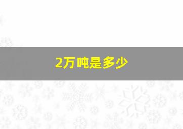 2万吨是多少