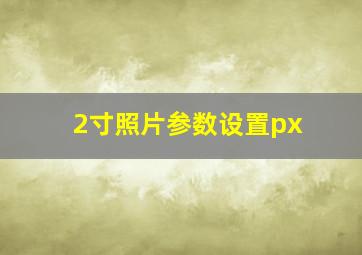 2寸照片参数设置px