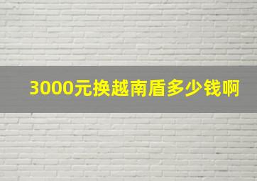 3000元换越南盾多少钱啊