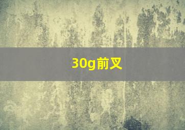 30g前叉