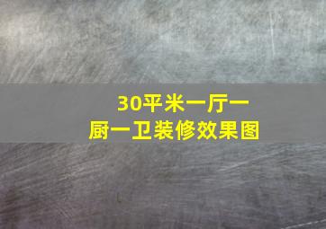 30平米一厅一厨一卫装修效果图