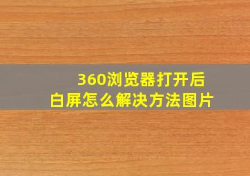 360浏览器打开后白屏怎么解决方法图片