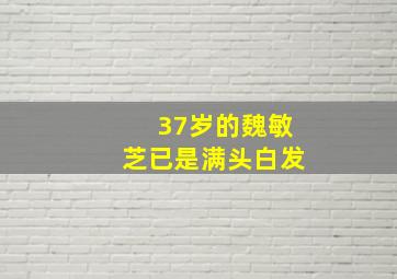 37岁的魏敏芝已是满头白发