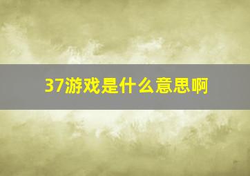 37游戏是什么意思啊