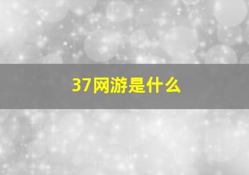 37网游是什么