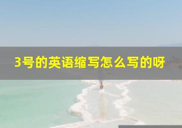 3号的英语缩写怎么写的呀