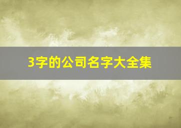 3字的公司名字大全集