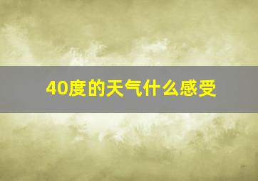 40度的天气什么感受