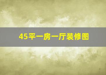 45平一房一厅装修图