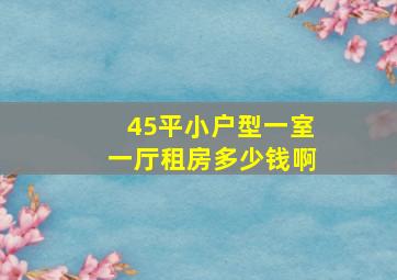 45平小户型一室一厅租房多少钱啊