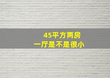 45平方两房一厅是不是很小