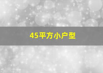 45平方小户型