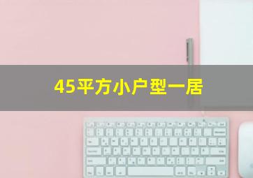 45平方小户型一居