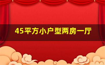 45平方小户型两房一厅