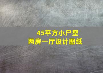 45平方小户型两房一厅设计图纸