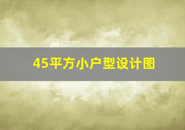 45平方小户型设计图